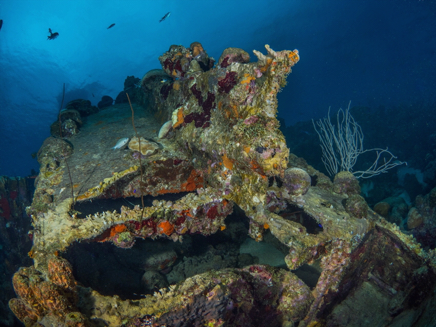 Shipwreck on Bonaire. The wreck is upside down and not ve... by Brenda De Vries 