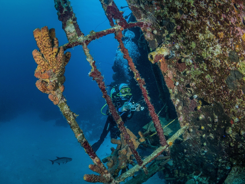 Hilma Hooker wreck on Bonaire. by Brenda De Vries 