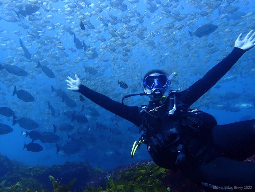 Diving of Rottnest, buddy wanted a shot for her instagram... by Alistair Day 
