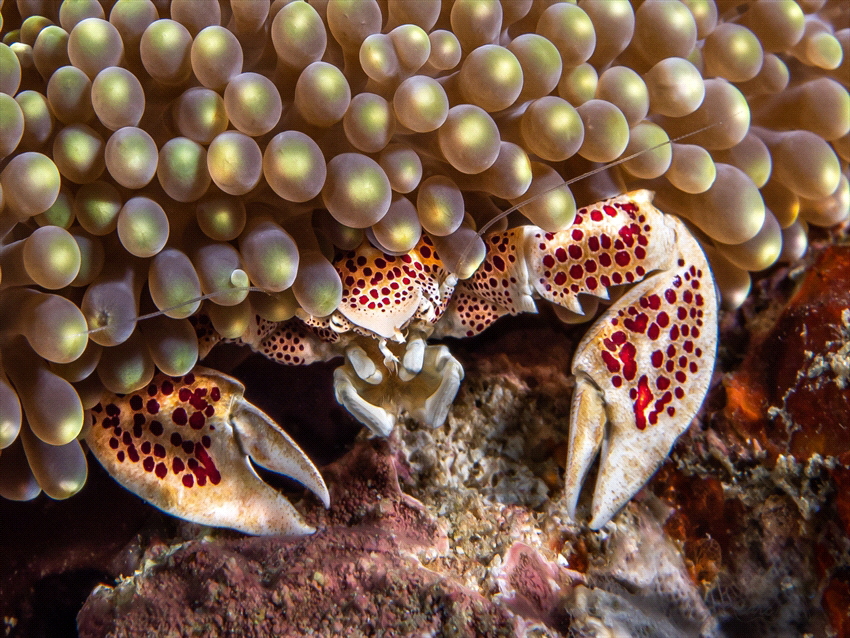 under the lights by Marc Van Den Broeck 