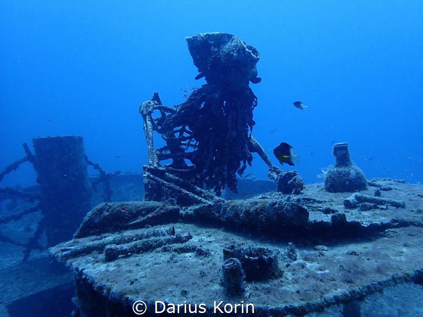 Pirate under the sea with a Bi colored damsel fish. by Darius Korin 