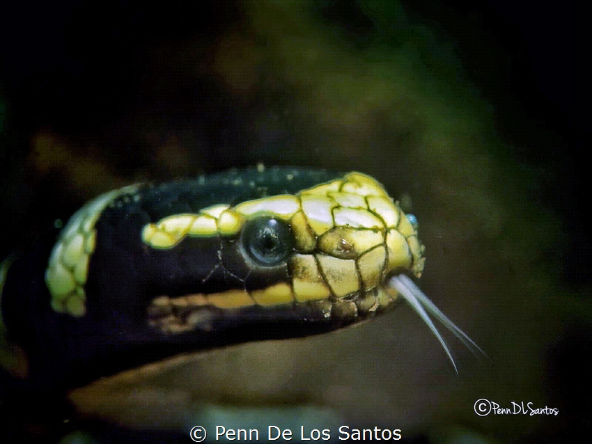 Tasting the water by Penn De Los Santos 