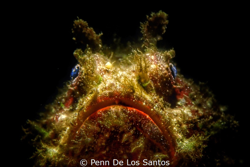 Red lipstick by Penn De Los Santos 