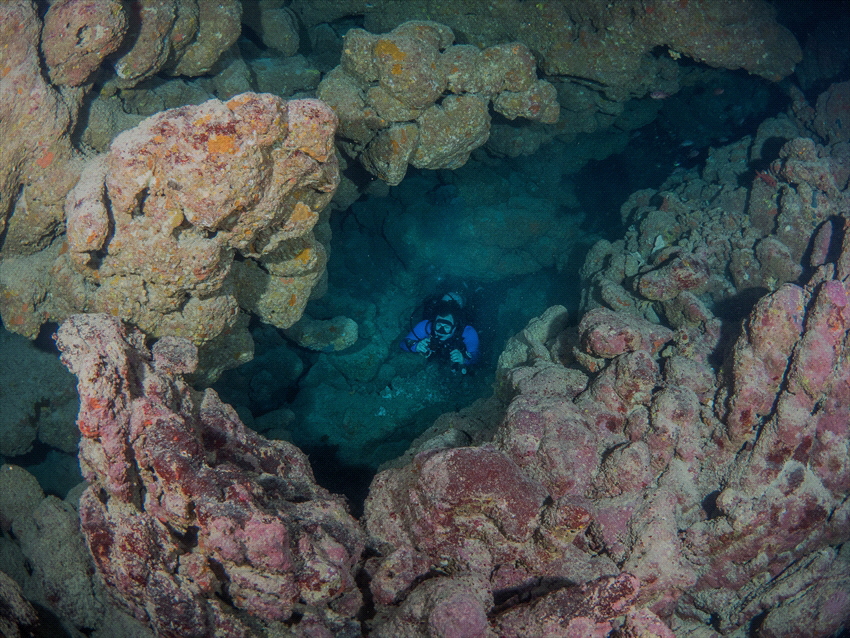 Small cave at the Fury Shoals in Egypt. by Brenda De Vries 