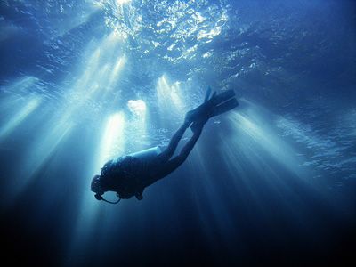 shedives by Heru Suryoko 