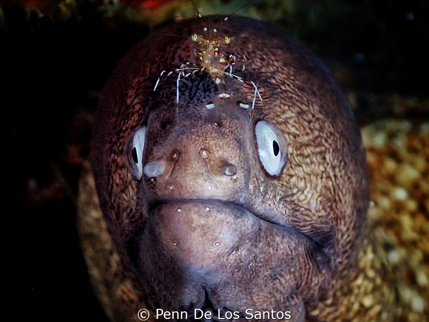 Something on my head? by Penn De Los Santos 