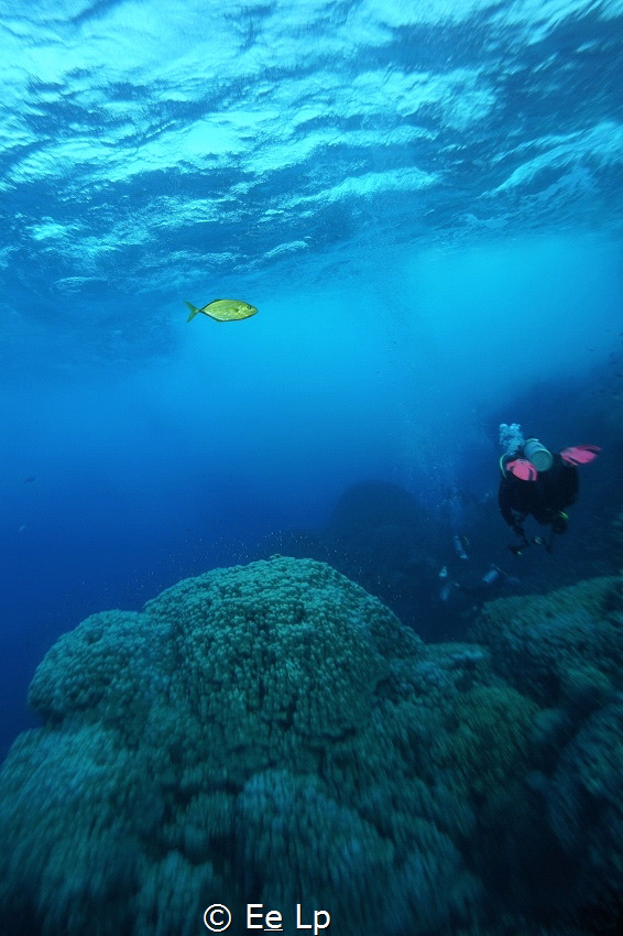 Diving at the end of the group behind my wife's pink flip... by E&e Lp 