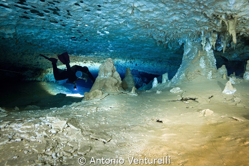 Beautiful formations of submerged caves 
in the Yucatan ... by Antonio Venturelli 