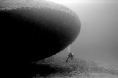 Pammie on the Bibb wreck Off Key Largo 130 ft natural lig... by Michael Salcito 