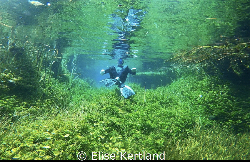 My fathers first snorkel image taken by me on Nikon Camera. by Elise Kertland 