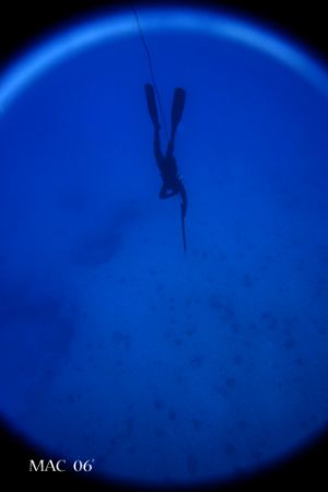 Freedive. Some of my co-workers go freediving on the week... by Mathew Cook 