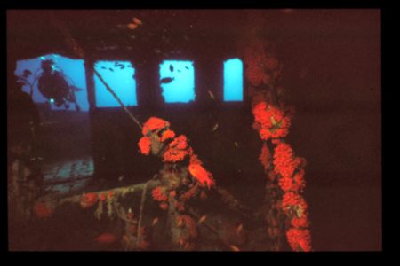 Wreck of the Victory in the maldives. by Andy Kutsch 