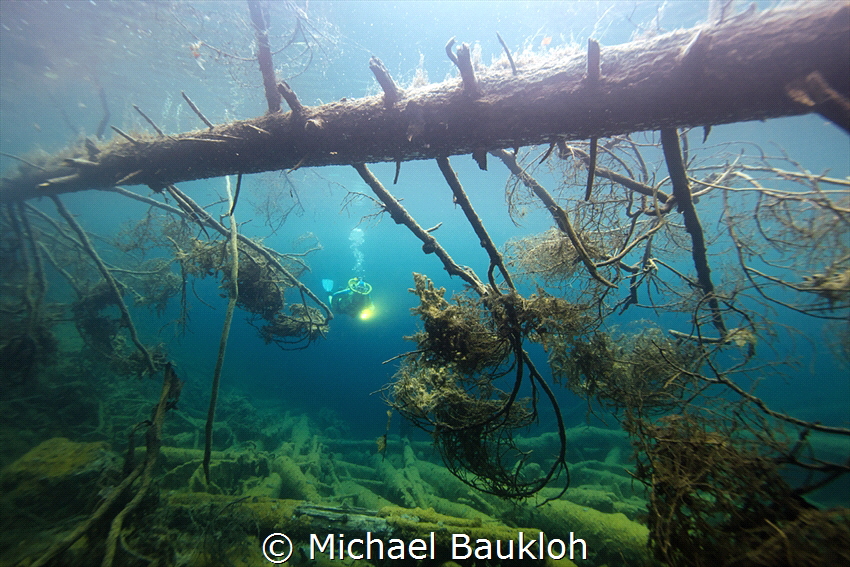 Underwaterforest by Michael Baukloh 