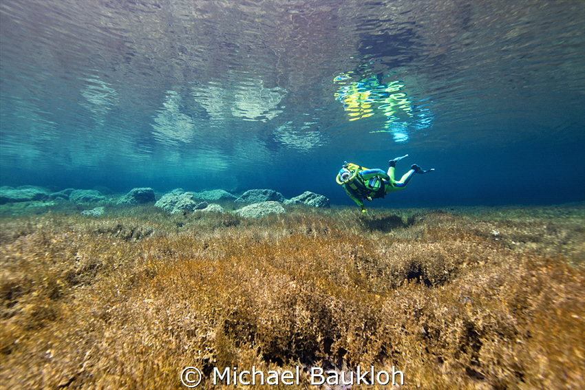 Freshwater spring in the mountains by Michael Baukloh 