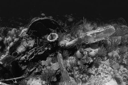 The Airplane dive site off Bermuda. by Dr Evil 