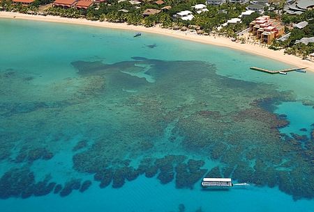Glass bottom boat touring the reef of Roatan, Honduras. by Shawn Jackson 