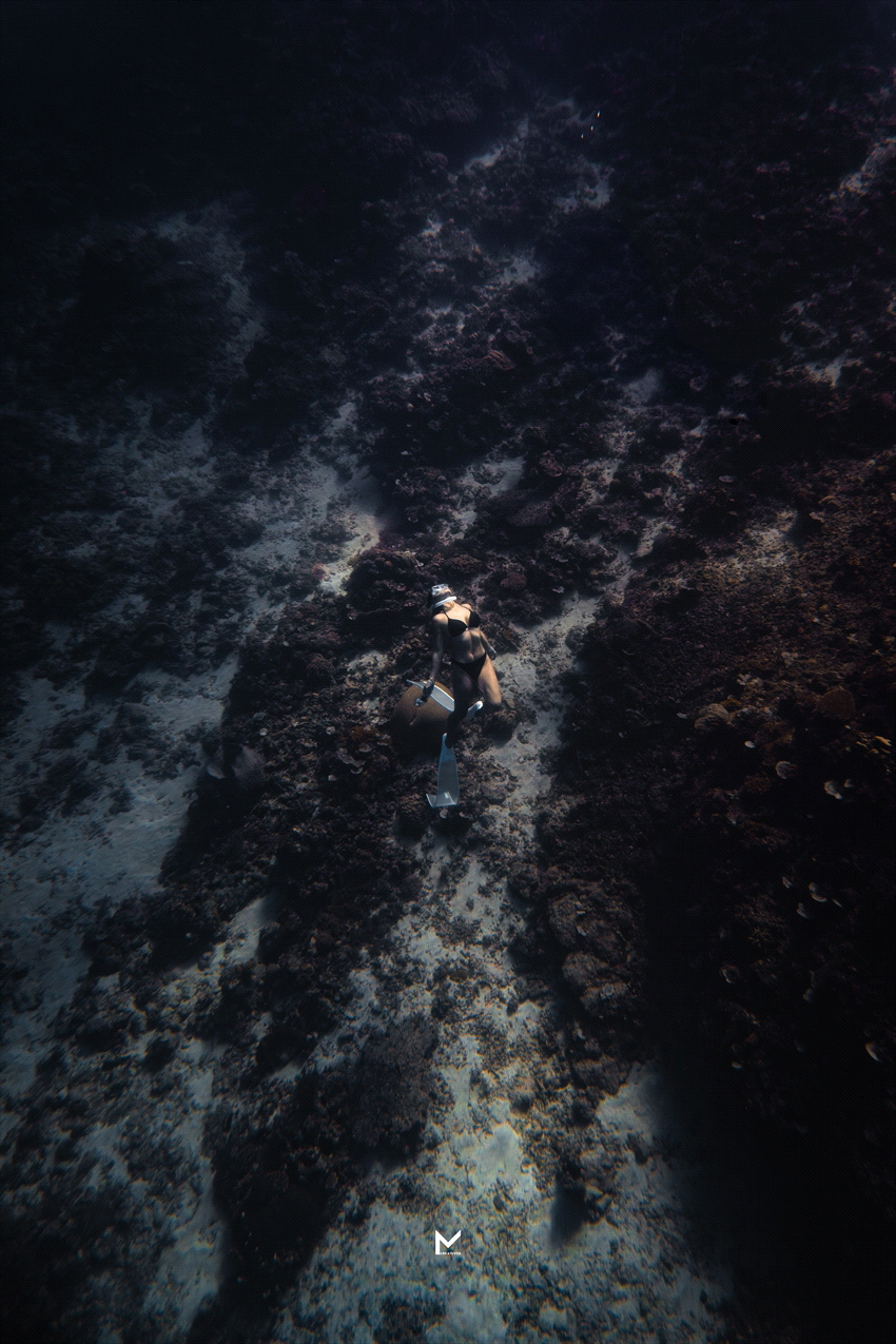 Solace at 50 feet under. Diving the ultra clear waters of... by Darwin Manalo 