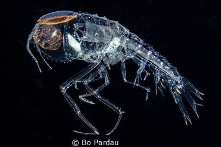 3 miles offshore with 6000 feet of ocean below at night i... by Bo Pardau 