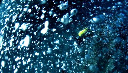 If you can't beat the bubbles, you may as well try to use... by Chris Wildblood 
