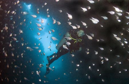 In The Cathedral dive site, Bermuda by Dr Evil 