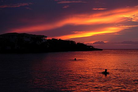 Roatan, Honduras. by Shawn Jackson 
