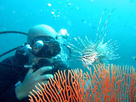 My buddy Flo with a Common Lionfish, Garang Heng, Phi Phi... by Tobias Reitmayr 