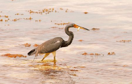 Good fishing today! Nikon D200 by Michael Salcito 