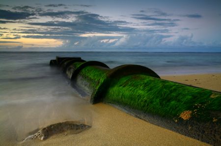 Seaweed on an Outlet. Photo taken in Waialua, HI. by Mathew Cook 