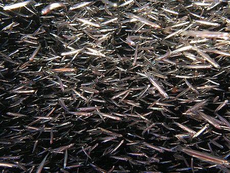 Fish all around, we had to abort the night dive because t... by Anel Van Veelen 