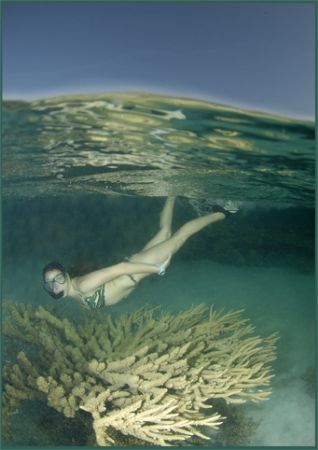 some fun with hard coral heads in Egypt July 2006, taken ... by Fiona Ayerst 