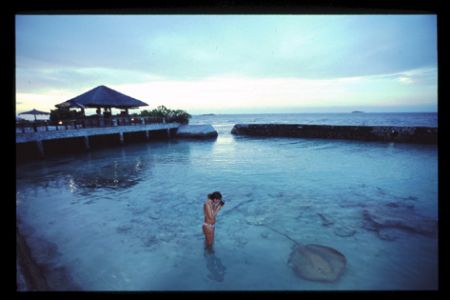 this foto is taken in the north ari atoll. by Andy Kutsch 