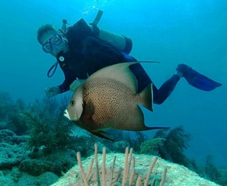 Diver and Angelfish, Marathon Key, Florida. D70, 10.5 mm ... by David Heidemann 