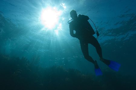 The beginning of another dive in Bermuda. by Dr Evil 
