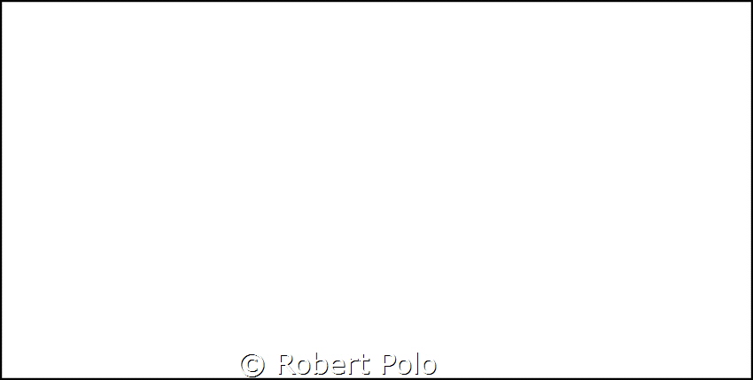mj by Robert Polo 