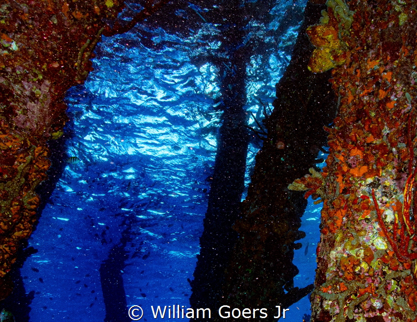 Salt Pier Late Afternoon by William Goers Jr 