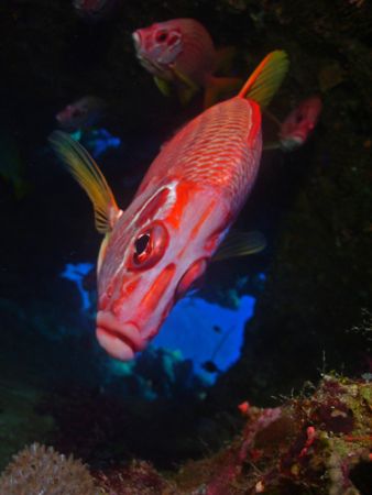 This was St.Johns trip in may. I did the image with my DC... by Patrick Neumann 