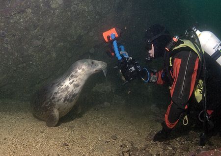 Derek & grey seal.
Farne Islands.
D200,16mm. by Mark Thomas 