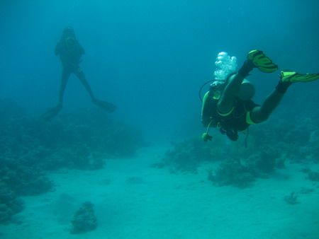 24-metres below and following the leader..... by Mario Bortolotti 