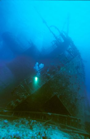 Giannis D.,Red Sea.F90x in Aquatica housing,18x35Nikon zo... by José Silva 
