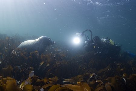 Mark with a seal,not sure who's watching who.. 16mm,D200. by Derek Haslam 