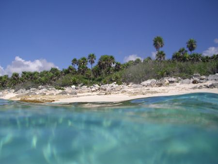 Paradise island by Luella Hitchcock 
