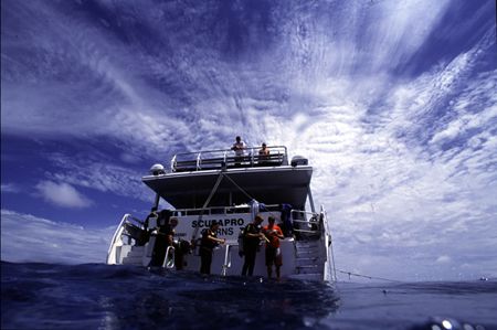 Nice day out on the reef! by Richard Smith 