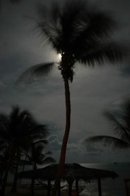 Playing with a shot at night at Little Cayman. Nikon D70.... by Larissa Roorda 