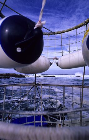 Shark alley.F50,20mm. by Derek Haslam 