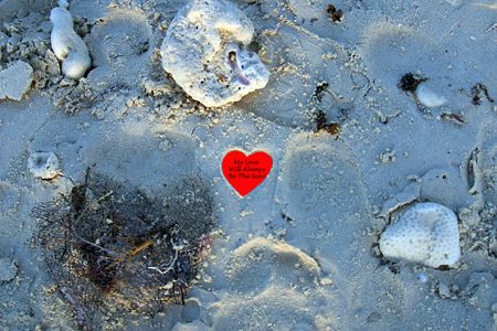 Found this imprint in the sand and couldn't resist the te... by Michael Canzoniero 
