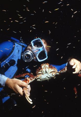 Night dive adventure by Jerry Hamberg 