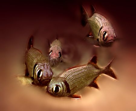 Fish Vortex. Original photo was taken in about 35 ft of w... by Mathew Cook 