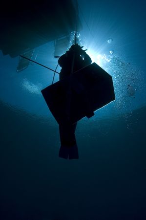 Shark Feeder with box on safety stop line. Nikon D70s wit... by Sally Thomson 