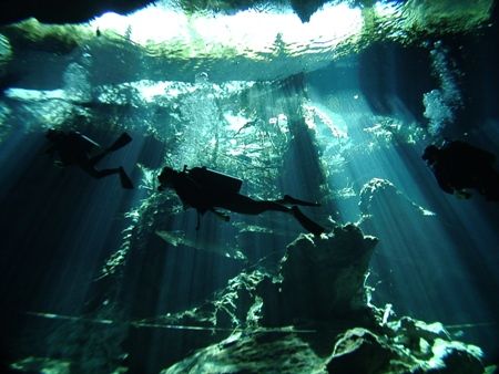 From the Chacmol Cenote (Cave). Dome port used. by Kenn Bolbjerg 