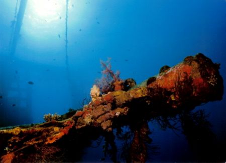 Arm on wreck in Red Sea off Jordan.
Nikonos V 28mm lense by Marylin Batt 